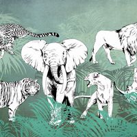 Обои Aura Panorama арт-V102-2-C — фото 1, Обои