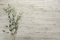 Обои Carl Robinson Edition 20 арт-CL50039 — фото 2, Обои