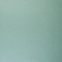 Обои Clarke & Clarke Showstoppers арт-W0006-17 — фото 1, Обои