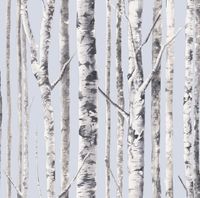 Обои Mayflower Solaris арт-WMAFJ020114 — фото 1, Обои