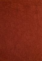 Обои Desima Object Line арт-M4099 — фото 1, Обои