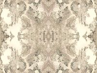 Обои York Candiсe Olson Botanical Dreams арт-NA0596 — фото 1, Обои