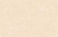 Товар: Обои Loymina Golden Library арт-TDG7-002-2 - фото 1 Обои Loymina Golden Library арт-TDG7-002-2 — фото 1, Обои