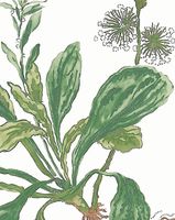 Обои Anna French Bristol арт-AT57852 — фото 2, Обои