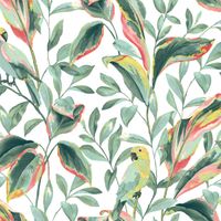 Обои York Tropics Resource Library арт-TC2653 — фото 1, Обои