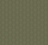 Товар: Обои Loymina Шервуд арт-Brit21-005-1 - фото 1 Обои Loymina Шервуд арт-Brit21-005-1 — фото 1, Обои