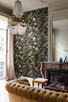 Обои Khroma Cabinet Of Curiosities арт-CAB601 — фото 2, Обои