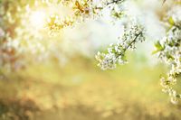 Обои Loymina Illusion арт-DS-015 — фото 1, Обои