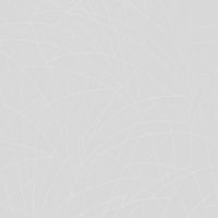 Обои Andrea Rossi Gavi Винил на флизелине (1,06*10) Белый, Абстракция/Линии арт-54376-1 — фото 1, Обои