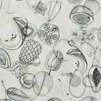 Обои Christian Lacroix Nouveaux Mondes арт-PCL663-02 — фото 1, Обои