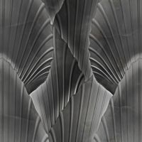 Обои Zambaiti Parati Trussardi 7 арт-Z18972 — фото 1, Обои для стен