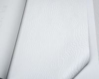 Обои Marburg New Spirit арт-31831 — фото 2, Обои для стен