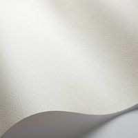 Обои Cole & Son Landscape Plains арт-106-5071 — фото 2, Обои