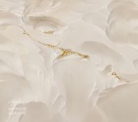 Фрески Applico Two арт-0020-G1 — фото 1, Фрески