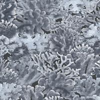 Товар: Обои Aura Farmhouse арт-FH37504 - фото 1 Обои Aura Farmhouse арт-FH37504 — фото 1, Обои