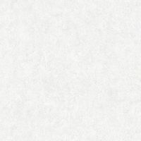 Обои AS Creation Podium Винил на флизелине (1,06*10,05) Серый, Однотонные/Штукатурка арт-37908-3 — фото 1, Обои