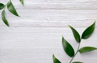 Обои Carl Robinson Edition 20 арт-CL50011 — фото 2, Обои