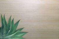 Обои Carl Robinson Edition 20 арт-CL50070 — фото 2, Обои