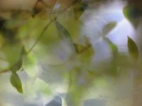 Фрески Wall Street GreenDay арт-23305 — фото 1, Фрески