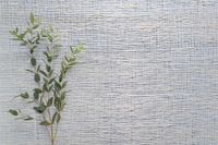 Обои Carl Robinson Edition 20 арт-CL50018 — фото 2, Обои