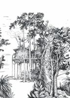 Обои Caselio Green Life 2 арт-105420904 — фото 1, Обои для стен