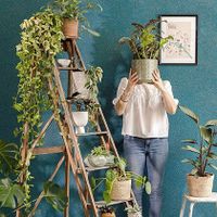 Обои Caselio Greenlife арт-101730099 — фото 3, Обои для стен