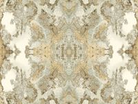 Обои York Candiсe Olson Botanical Dreams арт-NA0594 — фото 1, Обои