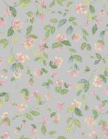 Обои Cole & Son Hummingbirds Cream арт-124-3017 — фото 1, Обои