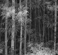 Обои Loymina Пейзаж арт-ART6-011 — фото 1, Обои для стен