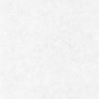 Обои Caselio Beton Винил на флизелине (0,53*10,05) Белый, Штукатурка арт-101489000 — фото 1, Обои для стен