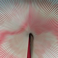 Обои Zambaiti Parati Trussardi 7 арт-Z18989 — фото 1, Обои для стен