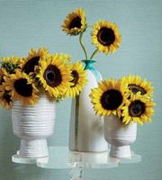 Товар: Обои Thibaut Texture Resource 6 арт-T290 - фото 2 Обои Thibaut Texture Resource 6 арт-T290 — фото 2, Обои