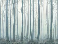 Фрески Affresco Exclusive part 1 арт-AB308-COL2 — фото 1, Фрески