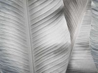 Фрески Affresco New Art арт-RE196-COL4 — фото 1, Фрески