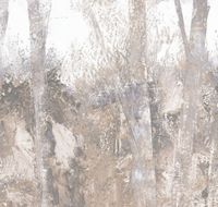 Товар: Обои Loymina Etude арт-ETD6-001 - фото 1 Обои Loymina Etude арт-ETD6-001 — фото 1, Обои