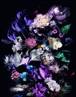 Обои Marburg Smart Art арт-47225 — фото 1, Обои