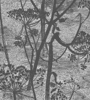 Обои Cole & Son Icons арт-112-8026 — фото 1, Обои