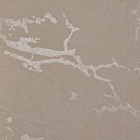 Обои Bernardo Bartalucci Gaga арт-84282-10 — фото 1, Обои для стен