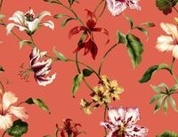 Обои Jaima Brown Charleston Home арт-JB50111 — фото 1, Обои