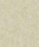 Товар: Обои Galerie Lustre арт-DWP0019-02 - фото 1 Обои Galerie Lustre арт-DWP0019-02 — фото 1, Обои