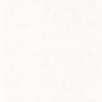 Обои Caselio Beton Винил на флизелине (0,53*10,05) Белый, Штукатурка арт-101480000 — фото 1, Обои