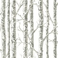 Обои York Black&White Resource Library арт-BW3901 — фото 1, Обои