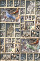 Обои Loymina Illusion vol. II арт-DC049 — фото 1, Обои для стен