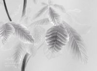 Фрески Applico Four арт-0046-S1 — фото 2, Фрески