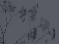 Фрески Wall Street Фрески арт-25341 — фото 1, Фрески