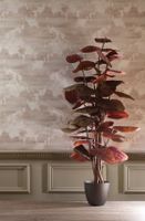 Обои Loymina Satori vol. III арт-SAT31-002-1 — фото 5, Обои для стен