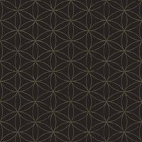 Товар: Обои Parato Amazzonia арт-22054 - фото 1 Обои Parato Amazzonia арт-22054 — фото 1, Обои