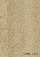 Обои Carlucci di Chivasso Curious арт-CA9092-040 — фото 1, Обои