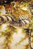 Обои Loymina Illusion vol. II арт-DA006 — фото 1, Обои