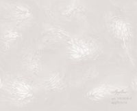 Фрески Applico Three арт-0038-A — фото 1, Фрески